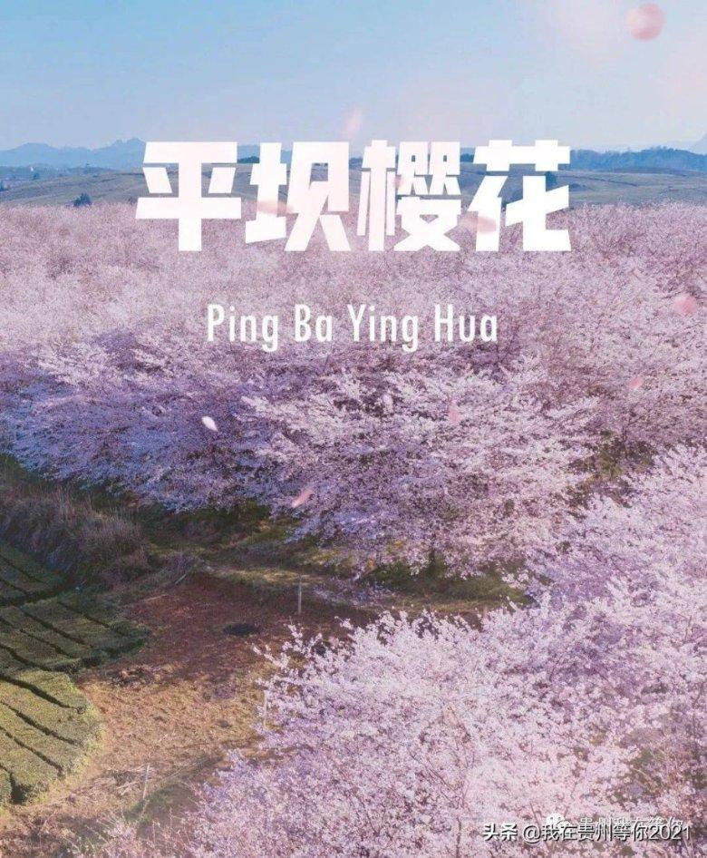 拯救精灵的土地6